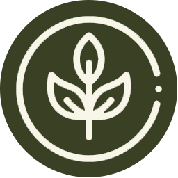 Vineyard%20Farm